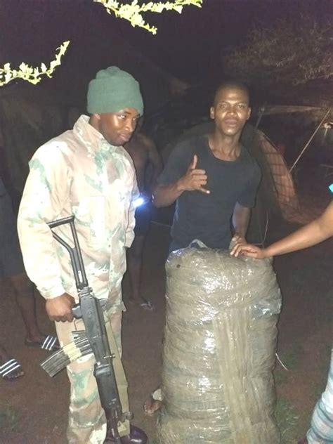 dfa co northeast|R440k dagga bust during Operation Shanela in .